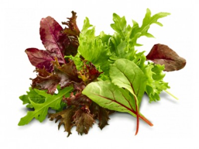 Baby Leaf® Salatmix