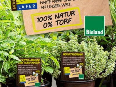 La ´Bio Küchenkräuter