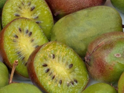Bayernkiwi