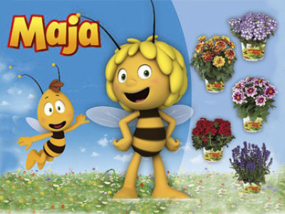 Biene Maja Stauden XL
