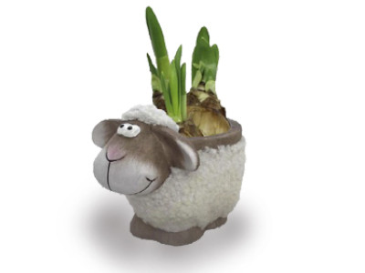 Schäfchen mit Narzisse