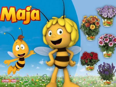 Bienenfreundliche Sommerstauden XL