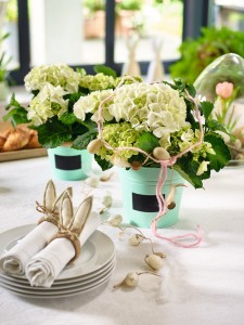 Gartencenter Höppener | Pflanzen-Arrangements