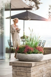 Gartencenter Höppener | Pflanzen-Arrangements