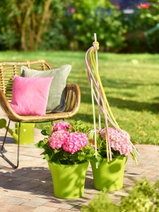 Gartencenter Höppener | Pflanzen-Arrangements