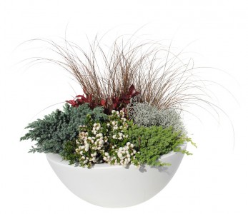 Gartencenter Höppener | Pflanzen-Arrangements