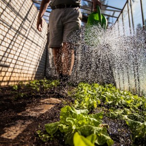 Gartencenter Höppener | Pflege und Zubehör