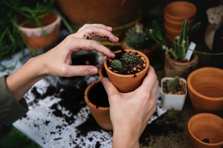 Gartencenter Höppener | Pflege und Zubehör