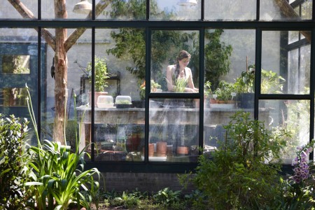 Gartencenter Höppener | Pflege und Zubehör