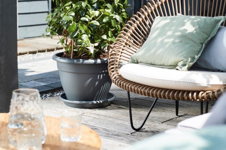 Gartencenter Höppener | Für jede Topfpflanze den passenden Pflanzkübel