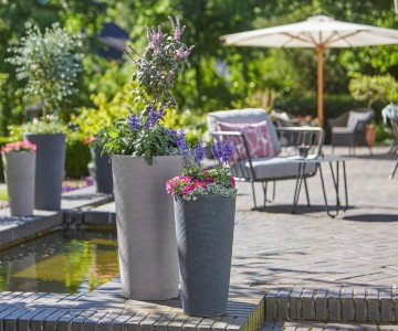 Gartencenter Höppener | Für jede Topfpflanze den passenden Pflanzkübel