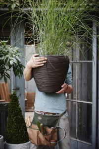 Gartencenter Höppener | Für jede Topfpflanze den passenden Pflanzkübel