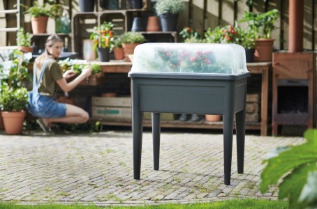 Gartencenter Höppener | Für jede Topfpflanze den passenden Pflanzkübel