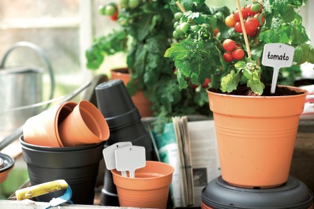 Gartencenter Höppener | Für jede Topfpflanze den passenden Pflanzkübel