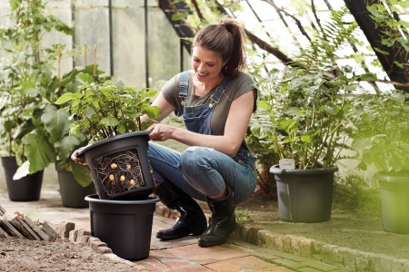Gartencenter Höppener | Für jede Topfpflanze den passenden Pflanzkübel