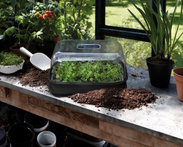 Gartencenter Höppener | Für jede Topfpflanze den passenden Pflanzkübel