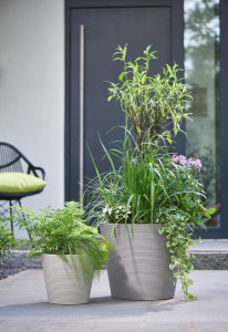 Gartencenter Höppener | Für jede Topfpflanze den passenden Pflanzkübel